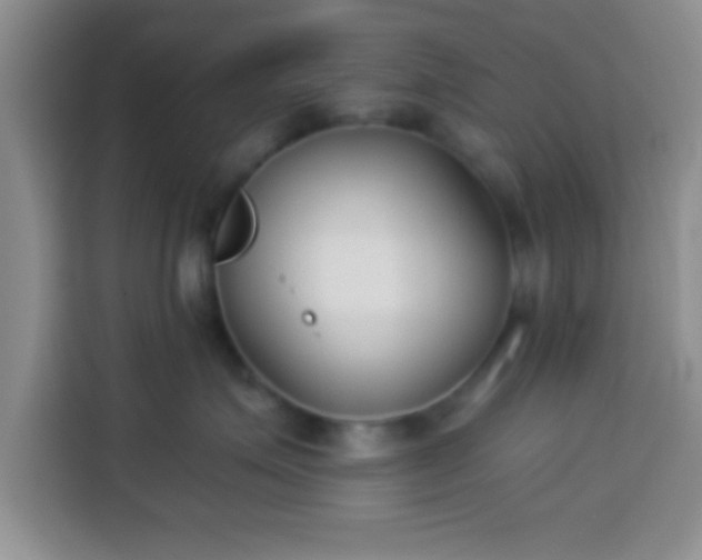 X0000113940623200910021303