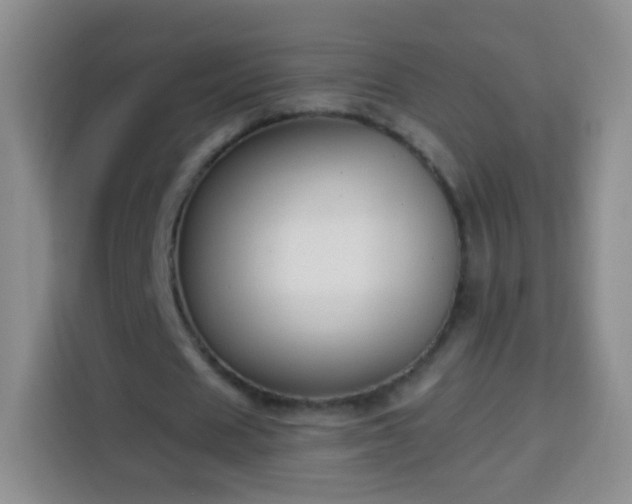 X0000113940625200910021303