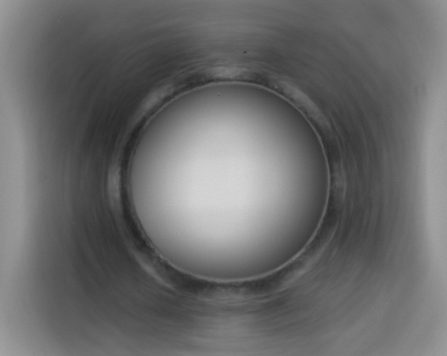 X0000113940626200910021303