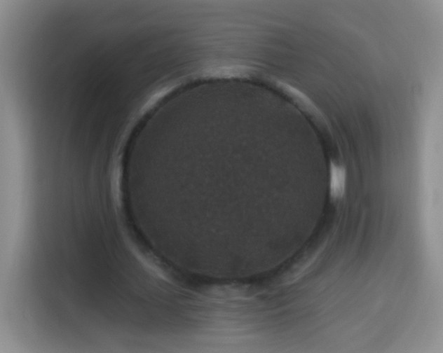 X0000113940627200910021303