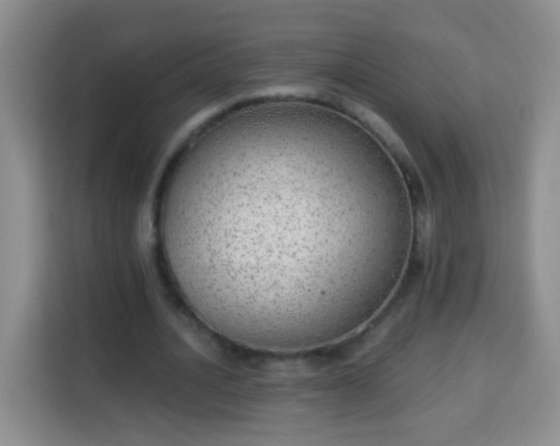 X0000113940628200910021303