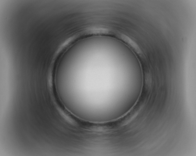 X0000113940629200910021303