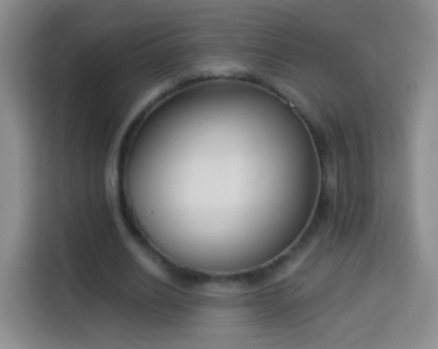 X0000113940630200910021303