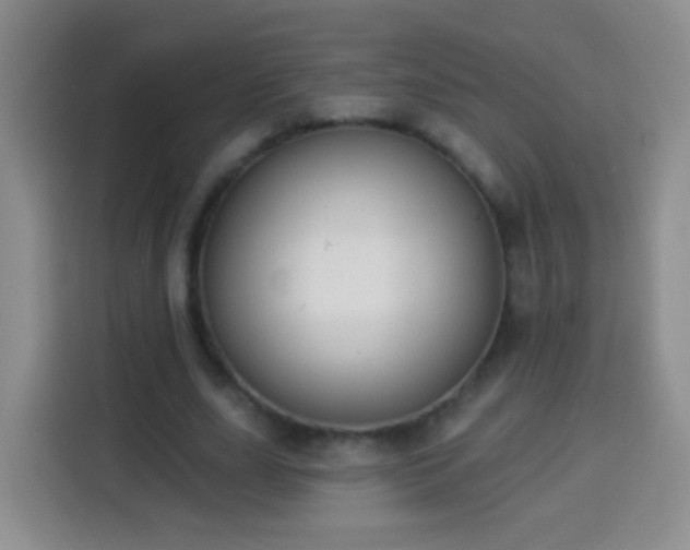 X0000113940631200910021303