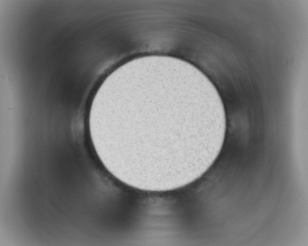 X0000113940632200910021303