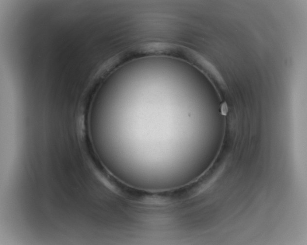 X0000113940633200910021303