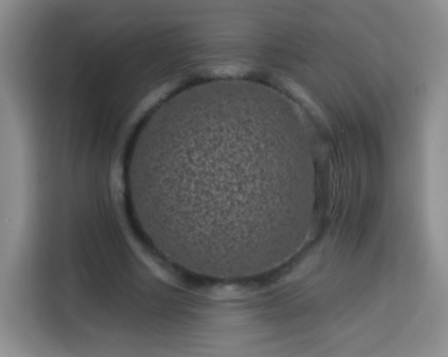 X0000113940634200910021303