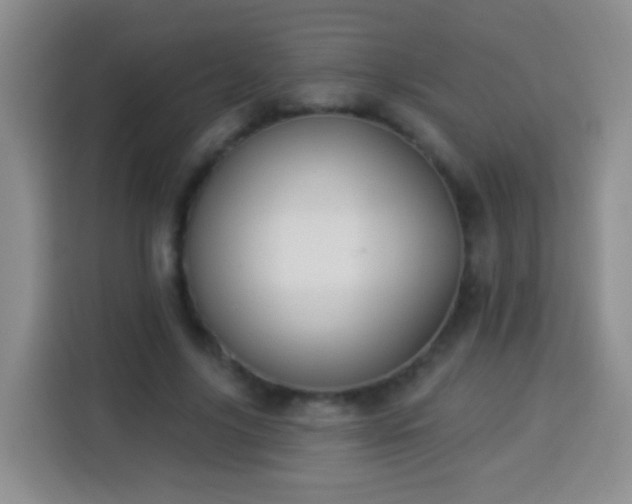 X0000113940635200910021303