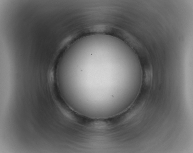 X0000113940636200910021303