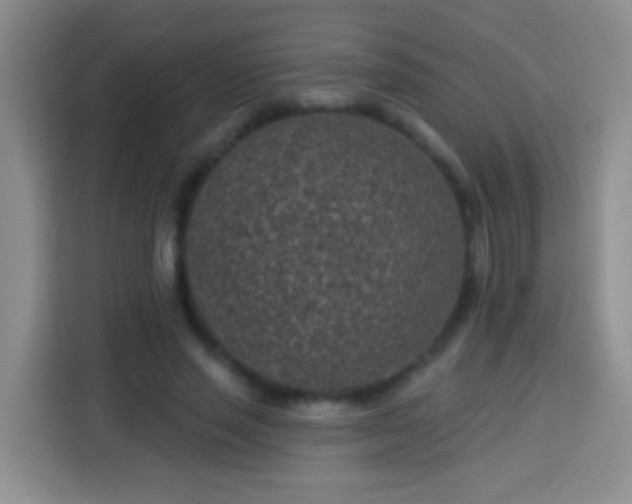 X0000113940637200910021303