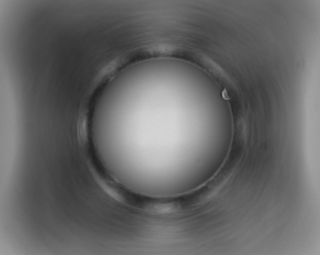 X0000113940638200910021303