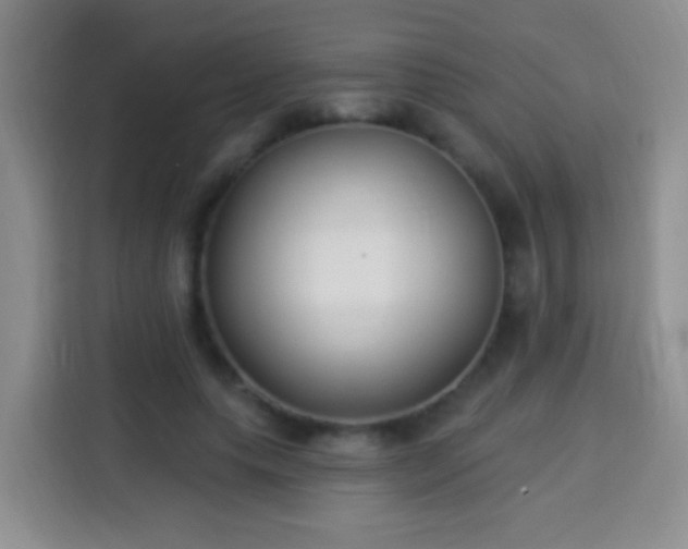 X0000113940639200910021303