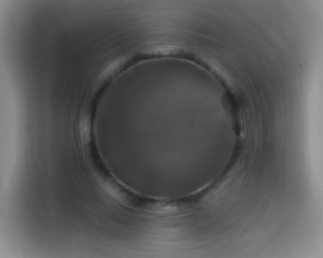 X0000113940640200910021303