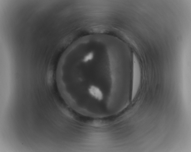 X0000113940641200910021303