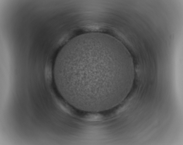 X0000113940642200910021303