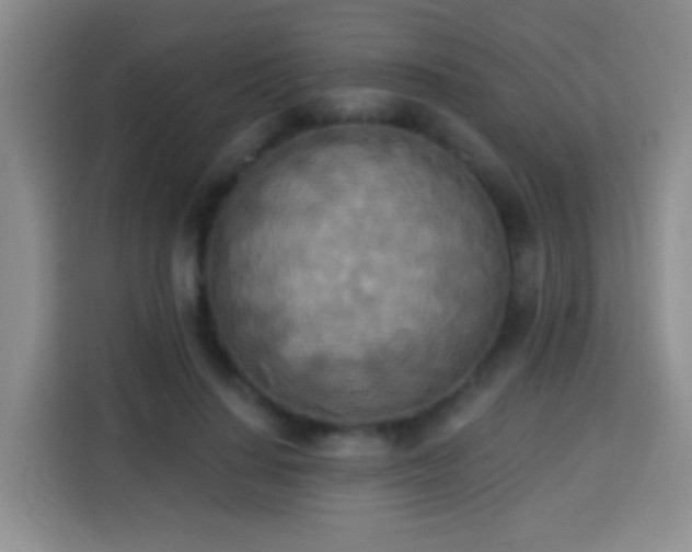 X0000113940644200910021303