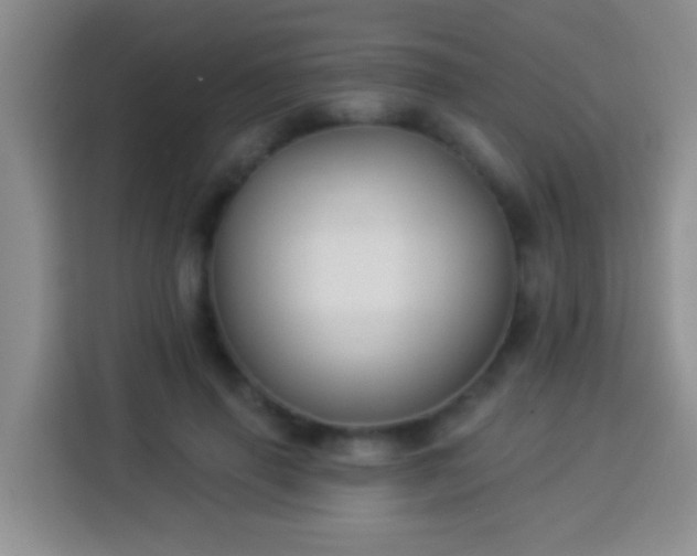 X0000113940645200910021303