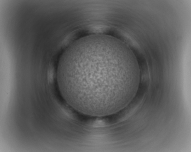 X0000113940647200910021303