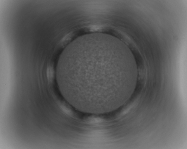 X0000113940648200910021303