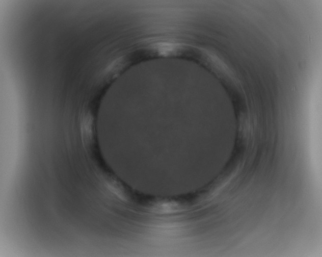 X0000113940650200910021303