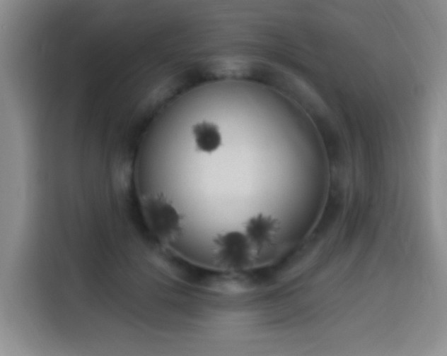 X0000113940652200910021303