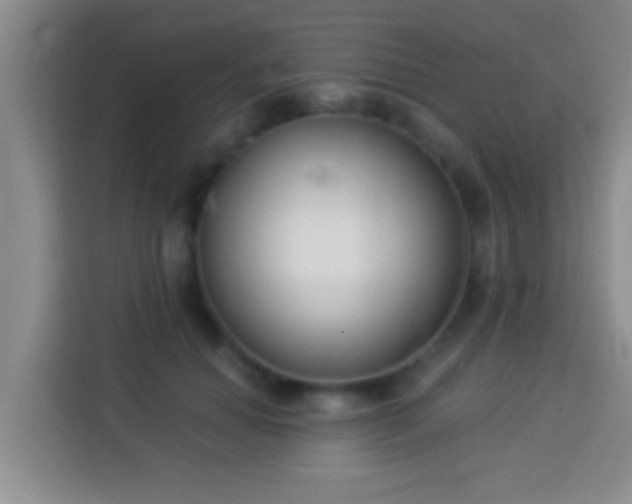 X0000113940654200910021303