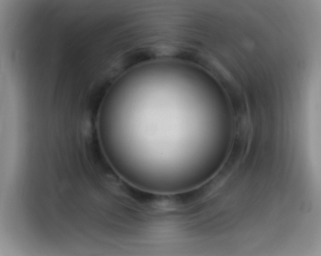 X0000113940655200910021303