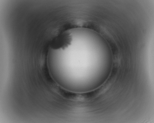 X0000113940656200910021303