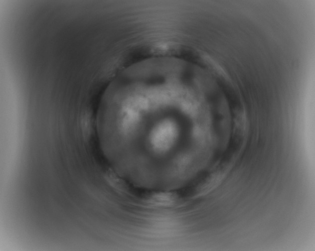 X0000113940659200910021303