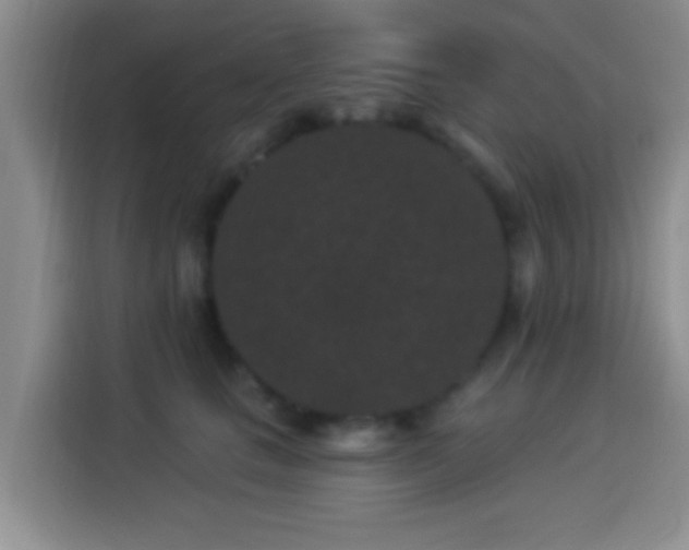 X0000113940661200910021303