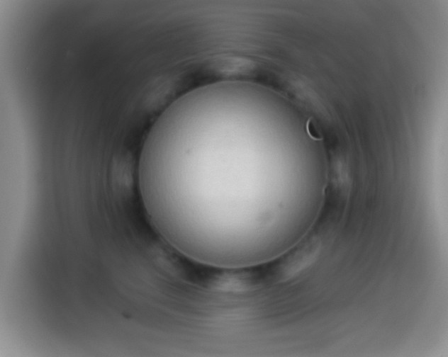 X0000113940664200910021303