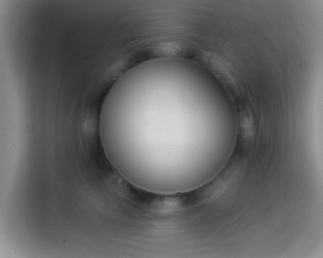 X0000113940665200910021303