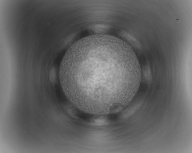 X0000113940667200910021303