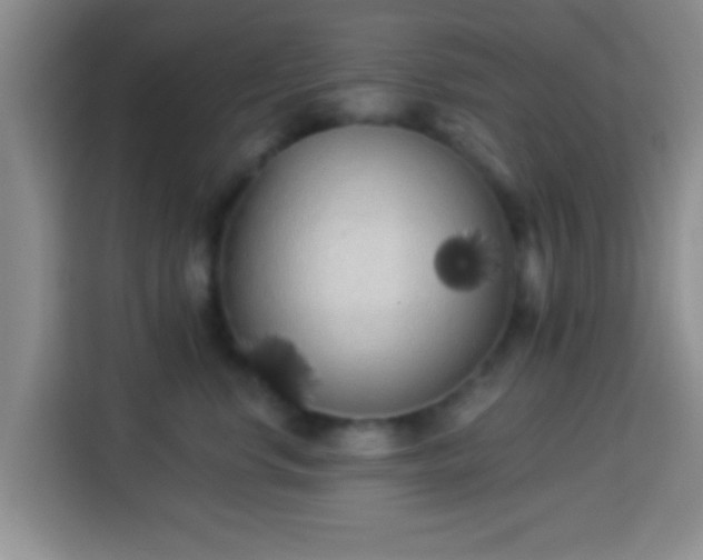 X0000113940668200910021303