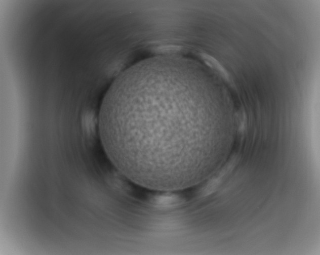 X0000113940669200910021303