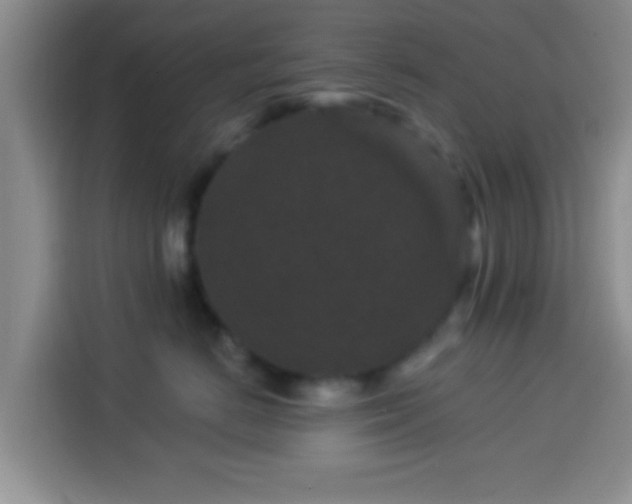 X0000113940670200910021303