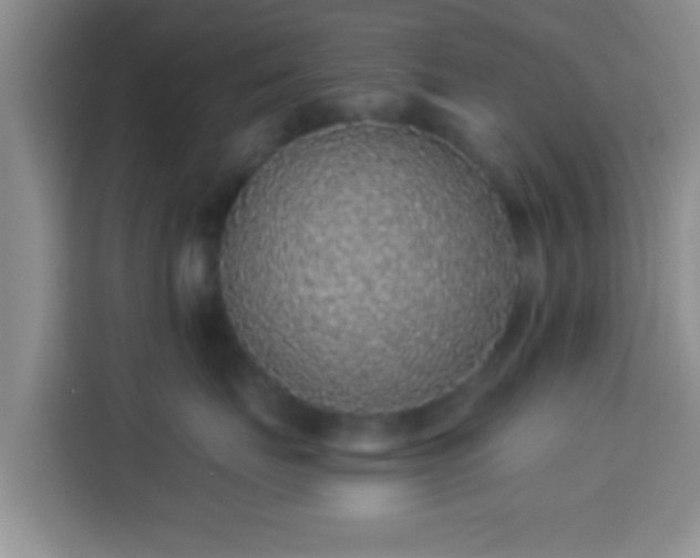 X0000113940671200910021303