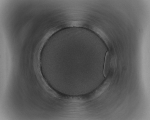 X0000113940673200910021303