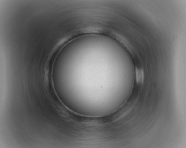 X0000113940675200910021303