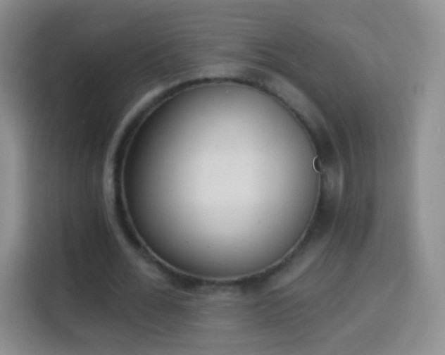 X0000113940676200910021303