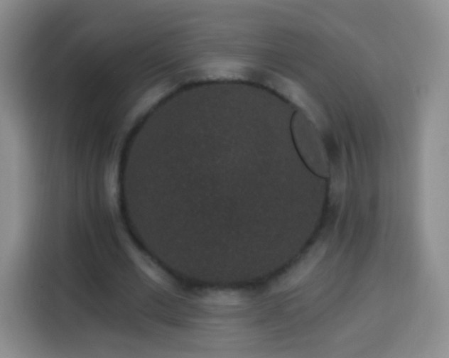 X0000113940677200910021303