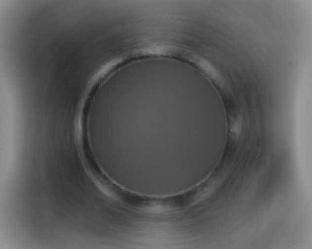 X0000113940678200910021303