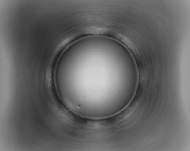 X0000113940679200910021303