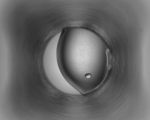 X0000113940681200910021303