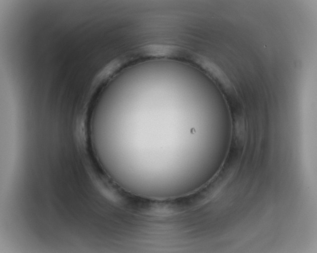 X0000113940682200910021303