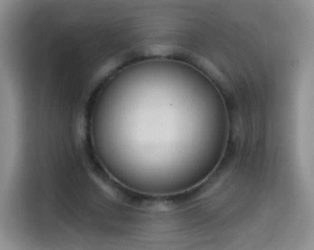 X0000113940683200910021303