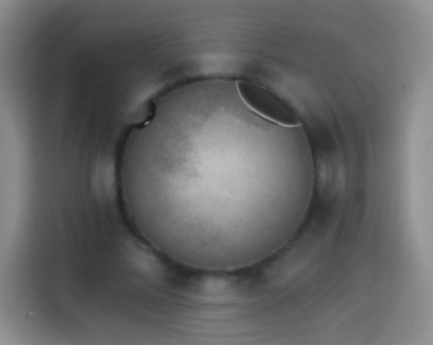 X0000113940684200910021303