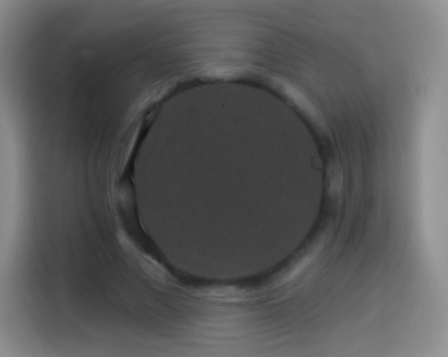 X0000113940685200910021303