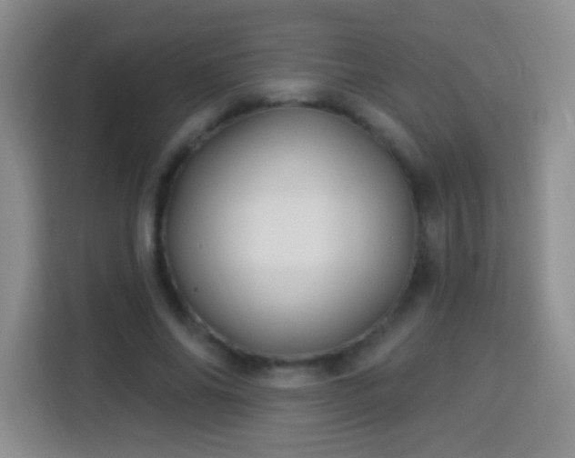 X0000113940686200910021303