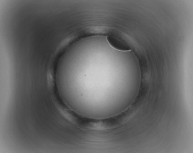 X0000113940688200910021303